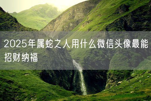 2025年属蛇之人用什么微信头像最能招财纳福(图1)