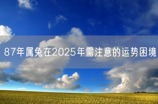87年属兔在2025年需注意的运势困境(图1)