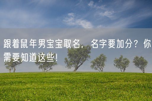跟着鼠年男宝宝取名，名字要加分？你需要知道这些！(图1)