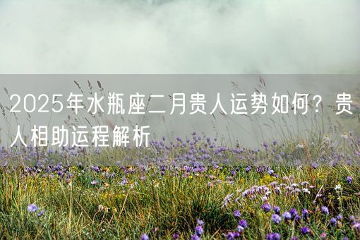 2025年水瓶座二月贵人运势如何？贵人相助运程解析(图1)