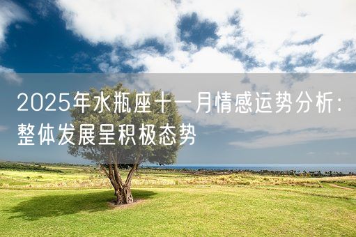 2025年水瓶座十一月情感运势分析：整体发展呈积极态势(图1)