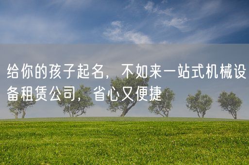 给你的孩子起名，不如来一站式机械设备租赁公司，省心又便捷(图1)