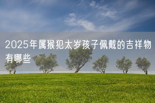 2025年属猴犯太岁孩子佩戴的吉祥物有哪些(图1)