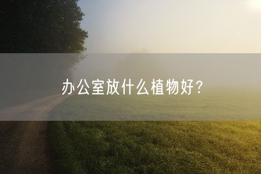 办公室放什么植物好？(图1)