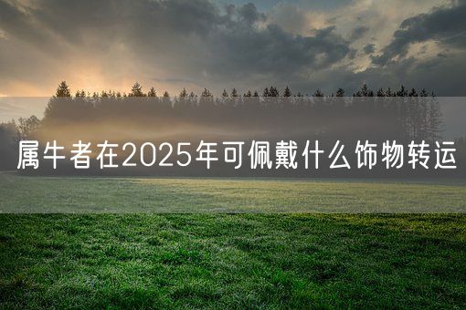 属牛者在2025年可佩戴什么饰物转运(图1)