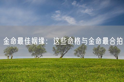 金命最佳姻缘：这些命格与金命最合拍(图1)