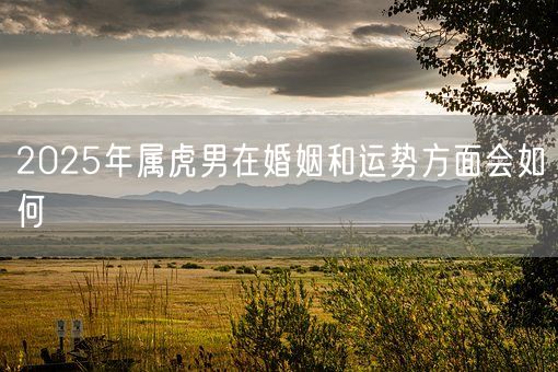 2025年属虎男在婚姻和运势方面会如何(图1)