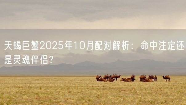 天蝎巨蟹2025年10月配对解析：命中注定还是灵魂伴侣？(图1)