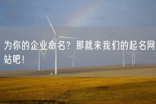 为你的企业命名？那就来我们的起名网站吧！(图1)