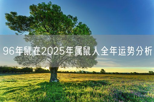 96年鼠在2025年属鼠人全年运势分析(图1)