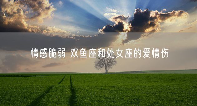 情感脆弱 双鱼座和处女座的爱情伤(图1)