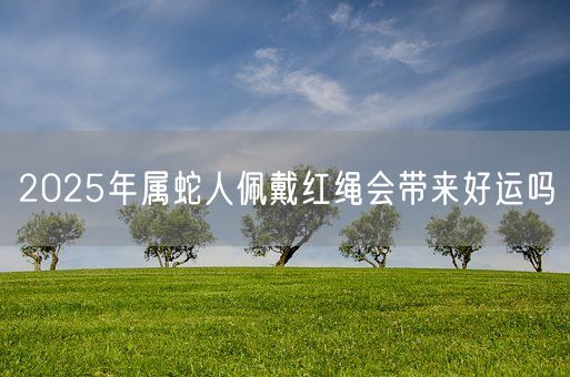 2025年属蛇人佩戴红绳会带来好运吗(图1)