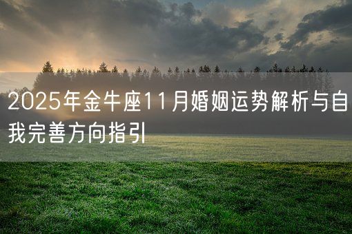 2025年金牛座11月婚姻运势解析与自我完善方向指引(图1)