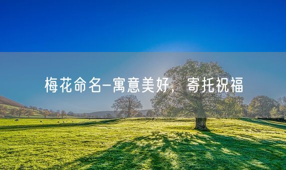 梅花命名-寓意美好，寄托祝福(图1)