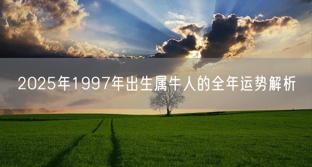 2025年1997年出生属牛人的全年运势解析(图1)