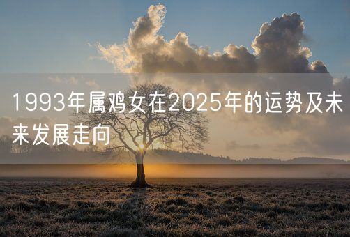 1993年属鸡女在2025年的运势及未来发展走向(图1)