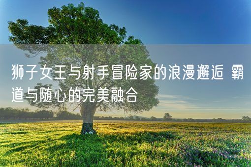狮子女王与射手冒险家的浪漫邂逅 霸道与随心的完美融合(图1)