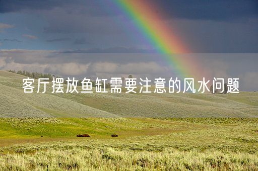 客厅摆放鱼缸需要注意的风水问题(图1)