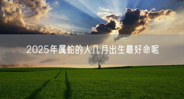 2025年属蛇的人几月出生最好命呢(图1)
