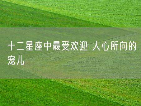 十二星座中最受欢迎 人心所向的宠儿(图1)