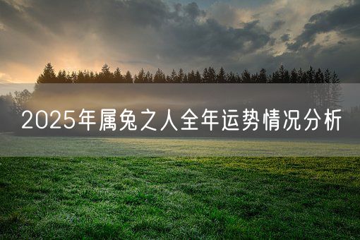 2025年属兔之人全年运势情况分析(图1)