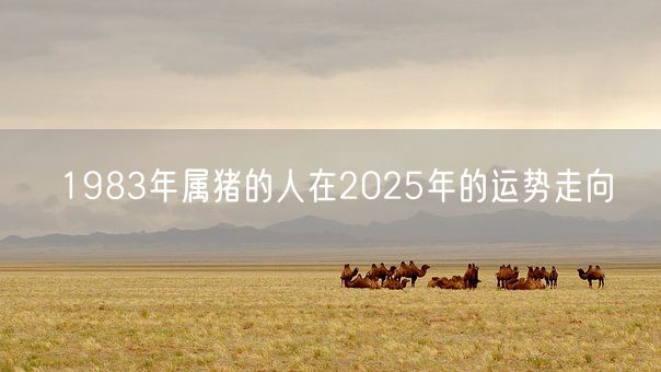 1983年属猪的人在2025年的运势走向(图1)