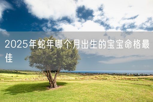 2025年蛇年哪个月出生的宝宝命格最佳(图1)