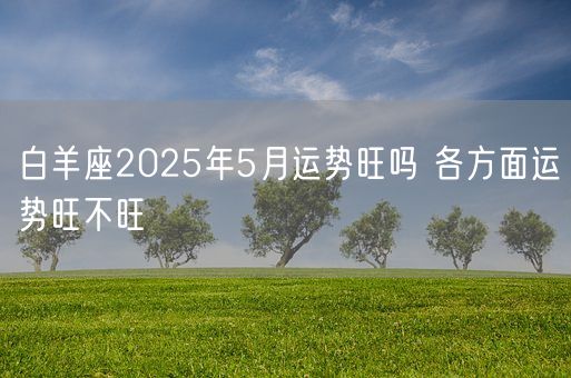 白羊座2025年5月运势旺吗 各方面运势旺不旺(图1)