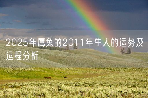 2025年属兔的2011年生人的运势及运程分析(图1)