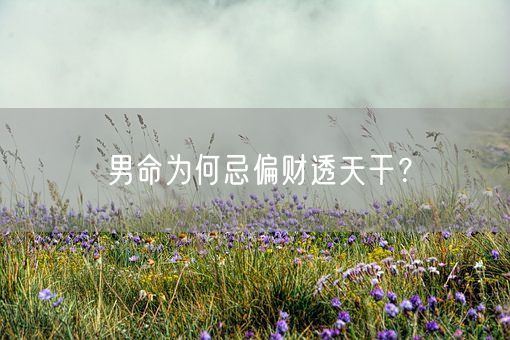 男命为何忌偏财透天干？(图1)