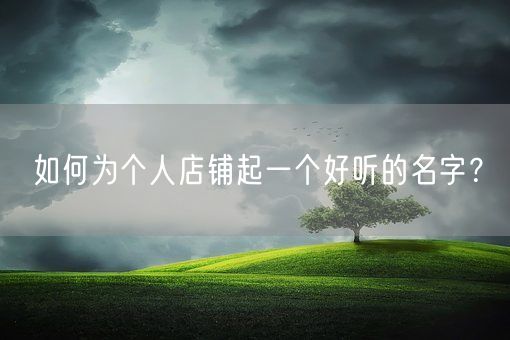 如何为个人店铺起一个好听的名字？(图1)
