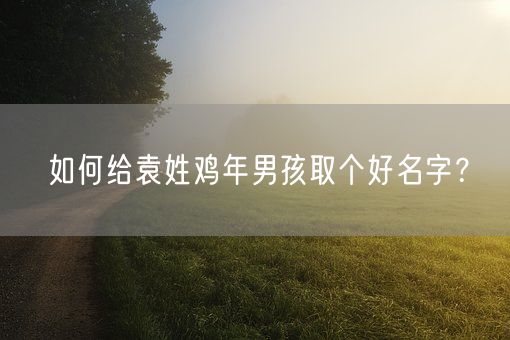 如何给袁姓鸡年男孩取个好名字？(图1)