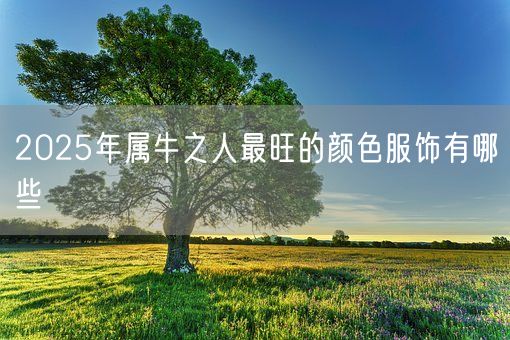 2025年属牛之人最旺的颜色服饰有哪些(图1)