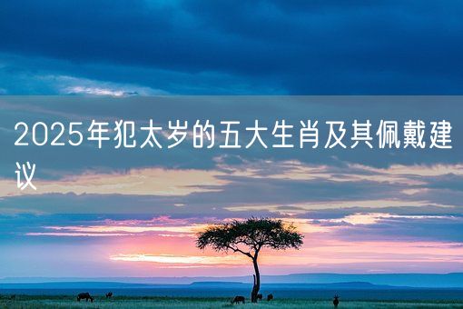2025年犯太岁的五大生肖及其佩戴建议(图1)
