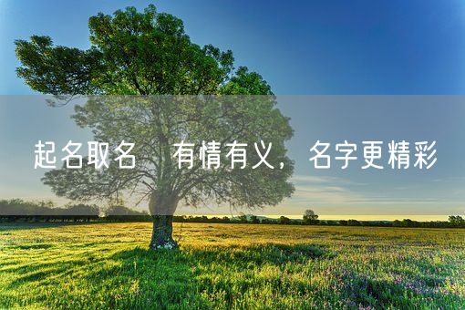 起名取名   有情有义，名字更精彩(图1)