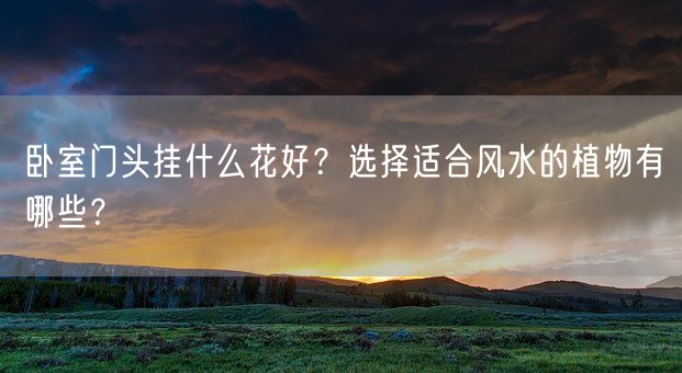 卧室门头挂什么花好？选择适合风水的植物有哪些？(图1)