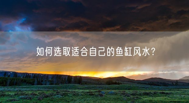 如何选取适合自己的鱼缸风水？(图1)