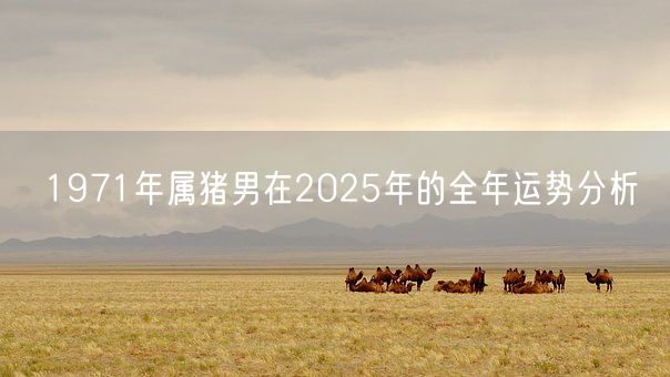 1971年属猪男在2025年的全年运势分析(图1)