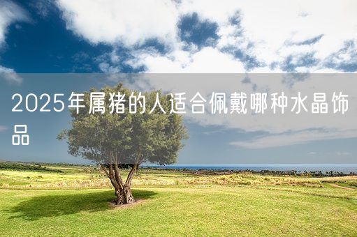 2025年属猪的人适合佩戴哪种水晶饰品(图1)