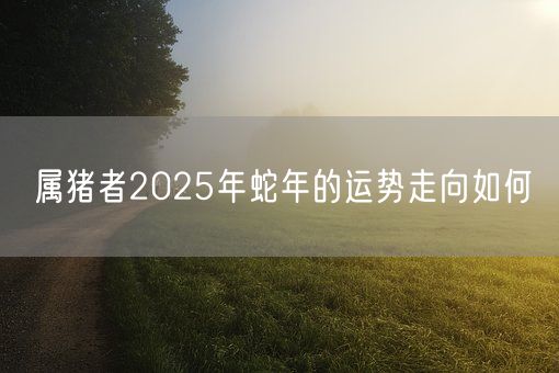 属猪者2025年蛇年的运势走向如何(图1)