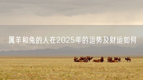 属羊和兔的人在2025年的运势及财运如何(图1)