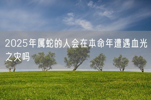 2025年属蛇的人会在本命年遭遇血光之灾吗(图1)