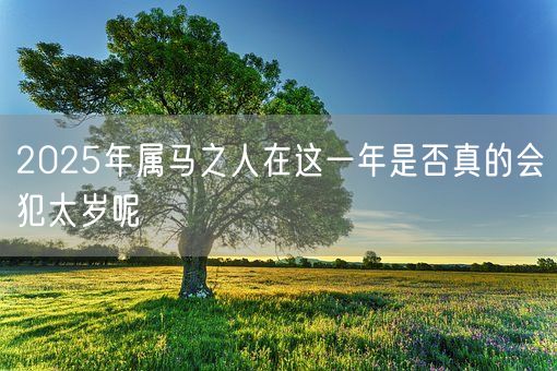 2025年属马之人在这一年是否真的会犯太岁呢(图1)