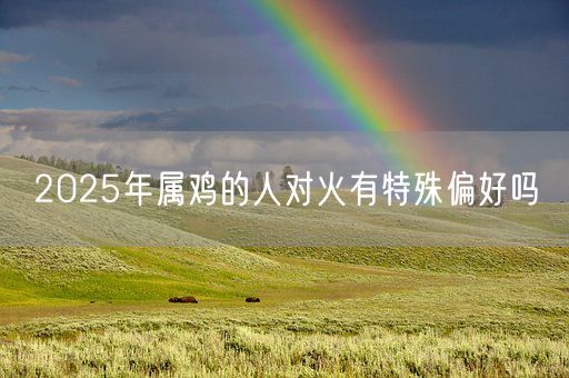 2025年属鸡的人对火有特殊偏好吗(图1)