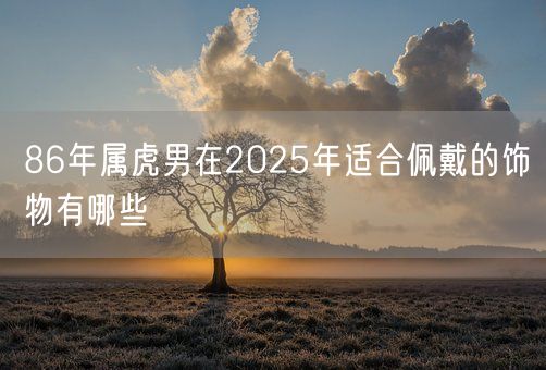 86年属虎男在2025年适合佩戴的饰物有哪些(图1)
