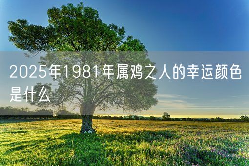 2025年1981年属鸡之人的幸运颜色是什么(图1)