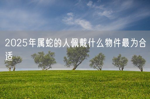 2025年属蛇的人佩戴什么物件最为合适(图1)