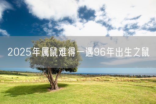 2025年属鼠难得一遇96年出生之鼠(图1)