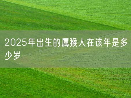 2025年出生的属猴人在该年是多少岁(图1)