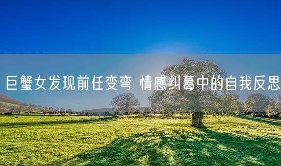 巨蟹女发现前任变弯 情感纠葛中的自我反思(图1)